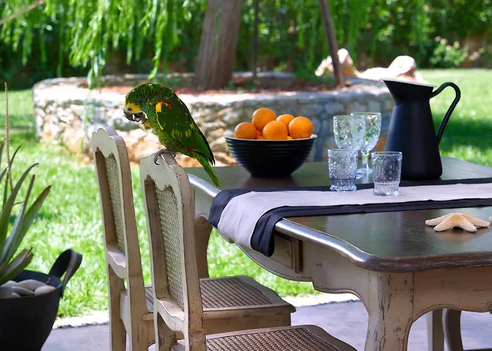 Sunvillage Malia Boutique Hotel And Suites