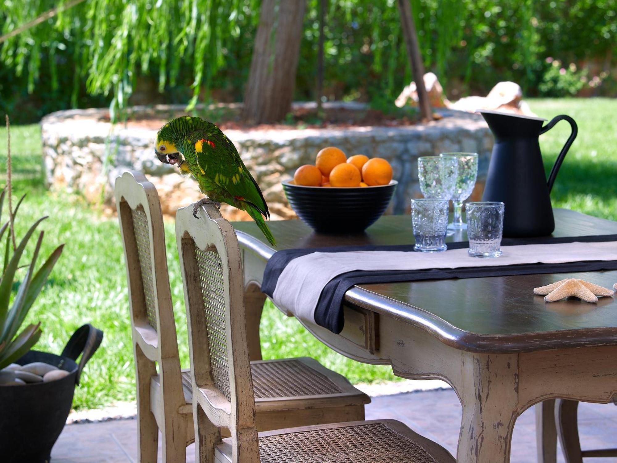 Sunvillage Boutique And Malia