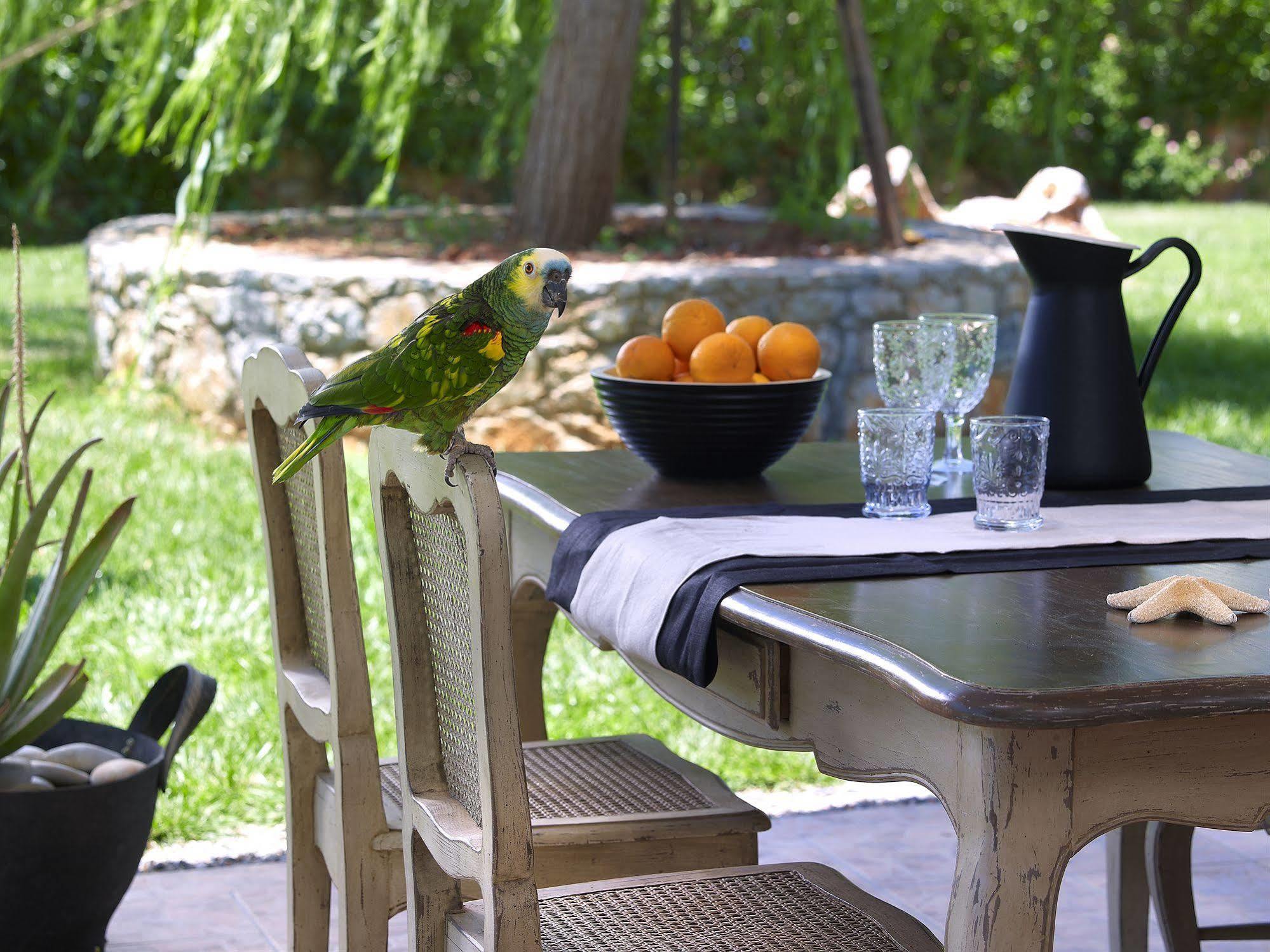 Sunvillage Boutique And Otel Malia